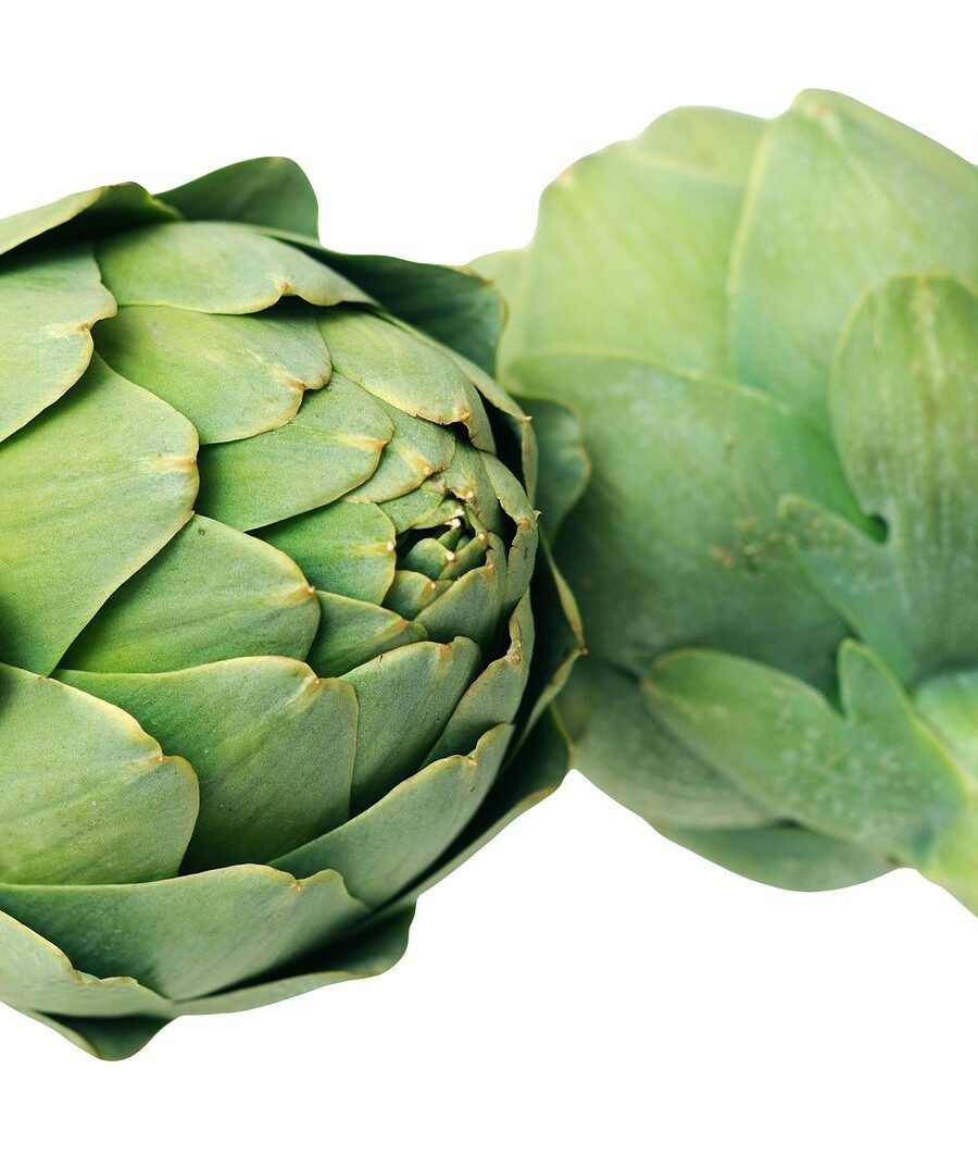 Utilizamos la autentica alcachofa de Benicarló que se produce en terrenos casi a nivel del mar