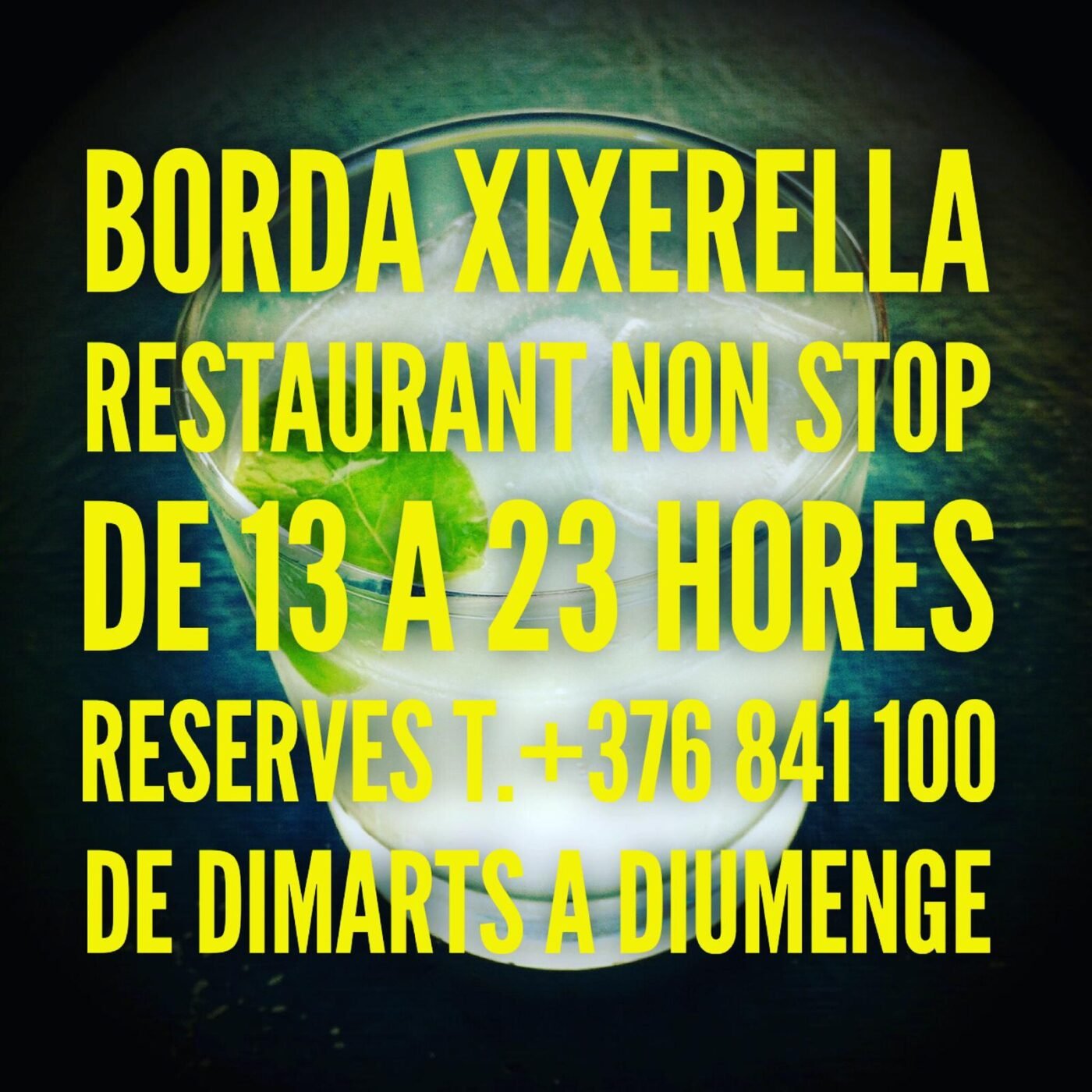 BORDA XIXERELLA RESTAURANT Nova terrassa Lounge Gin tònics , cocktails , mojitos, etc