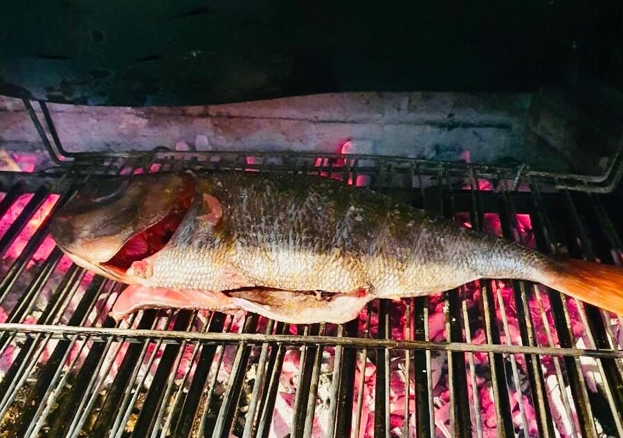Besugo de 2 kg a la brasa