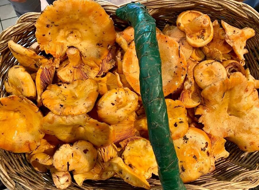 Rovellons a la Brasa