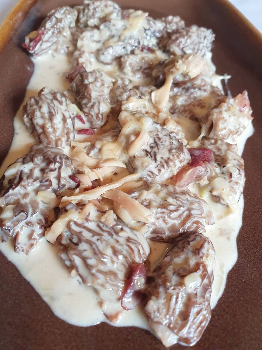El rei dels bolets primaverals segons el meu parer és la múrgola – Múrgoles a la crema