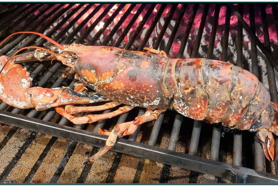 Nuestro Chef afirma que el Bogavante azul es el marisco que más le gusta por ser muy delicado y sabroso