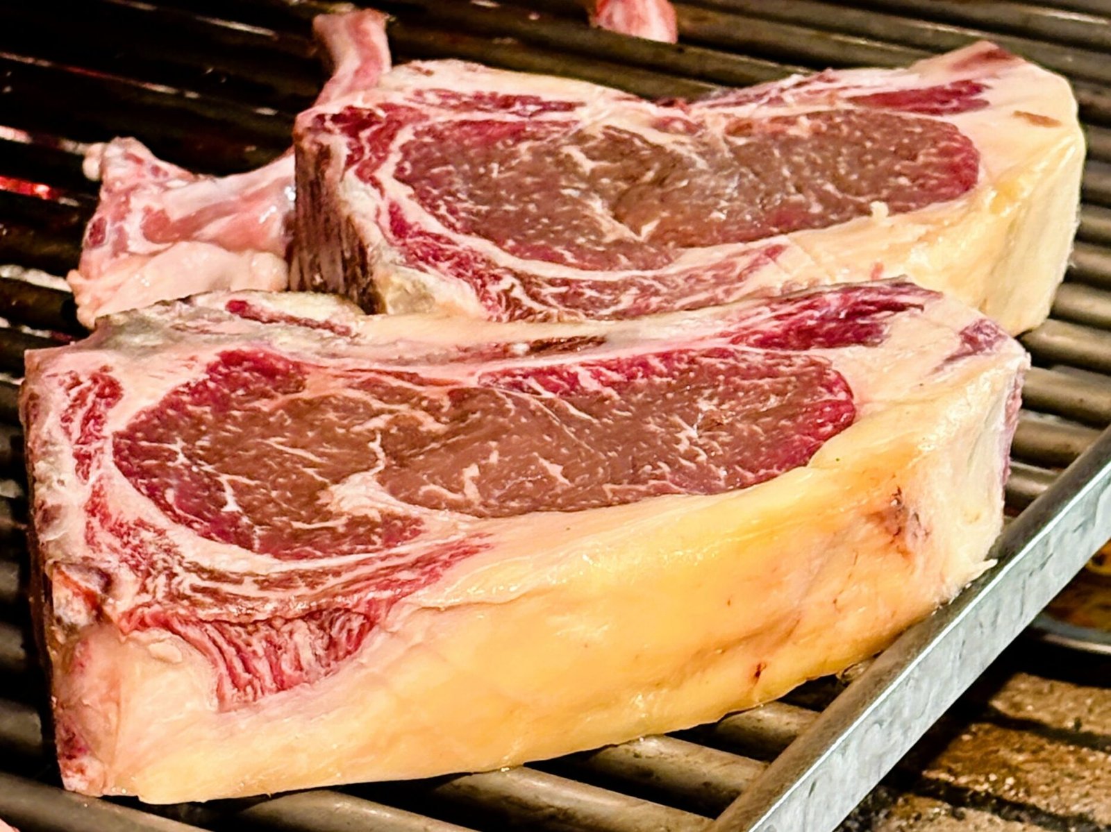 CARNS DE QUALITAT SELECTE I PREMIUM, CONEIXEMENT I GRATITUD A JUAN BOLA per la seva visita a la BORDA XIXERELLA.