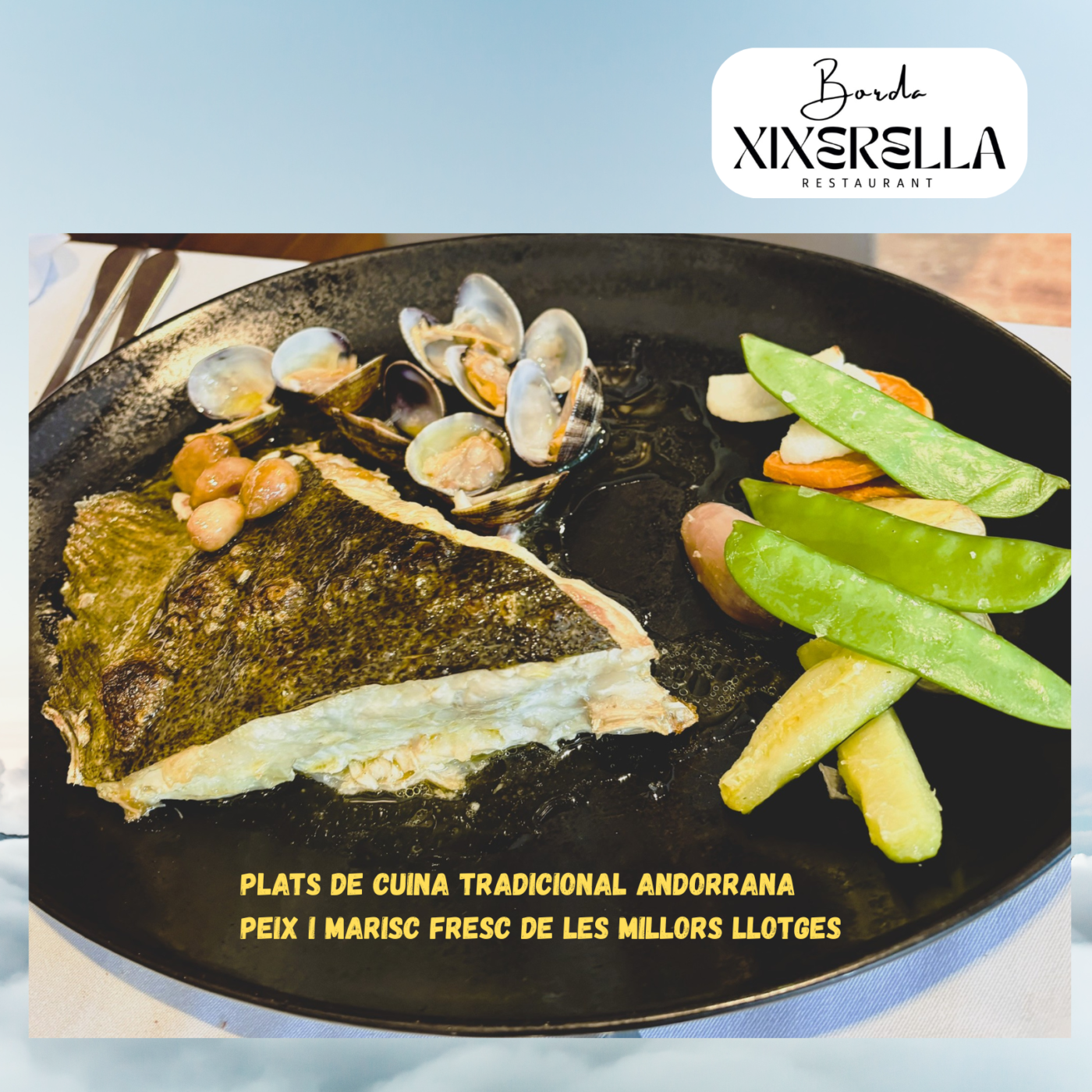 Per als amants del peix i els mariscs, tenim els millors productes del mar directament de les llotges properes: Costa Brava o l’Ametlla de Mar. 