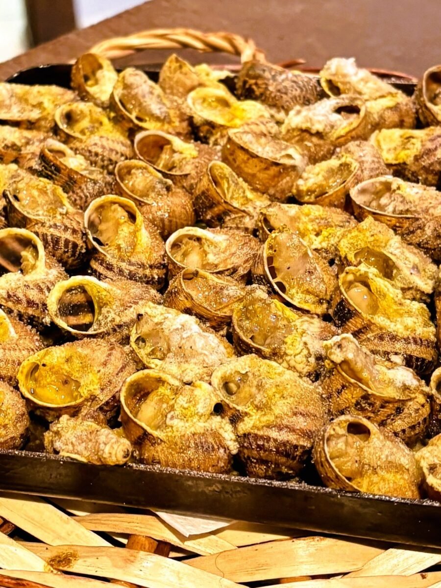 Borda Xixerella, la nostra passió per la gastronomia es reflecteix en cada detall, i això inclou la nostra selecció dels vins.  