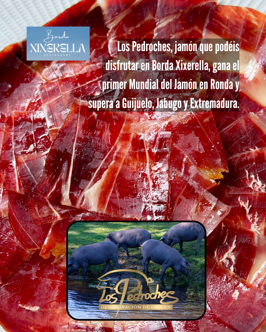 Los Pedroches ha guanyat el primer Mundial del Jamón celebrat a Ronda (Màlaga), superant a els «jamones de Guijuelo, Jabugo i Extremadura»